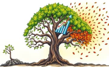 The Lifecycle of a Company: Financial Insights at Every Stage